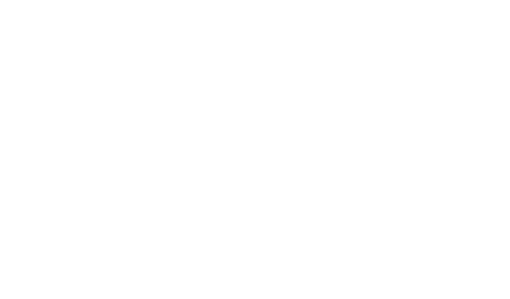 BOSS-INTERNATIONAL-TRANSPORTE